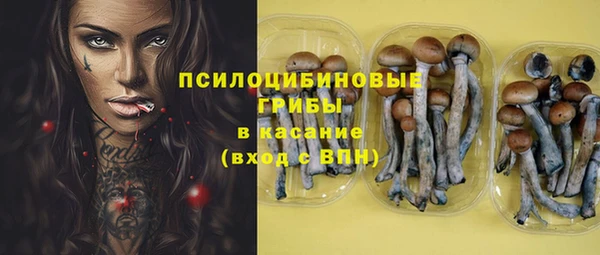 шишки Аркадак