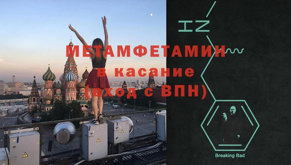 шишки Аркадак