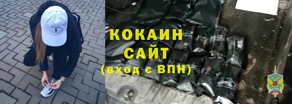 сатива Магадан
