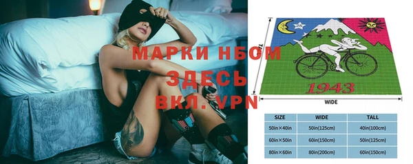 прущая мука Арсеньев