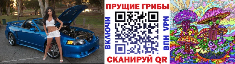 где купить наркотик  Новосиль  площадка состав  Галлюциногенные грибы мухоморы 
