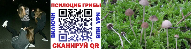 Галлюциногенные грибы MAGIC MUSHROOMS Новосиль